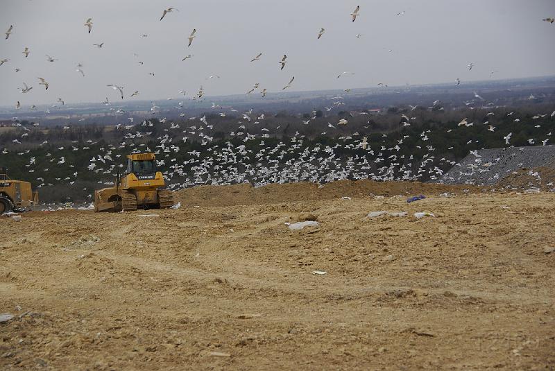 012409 Waco Landfill 005.jpg